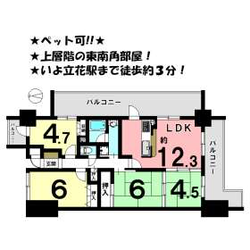 松山市立花３丁目 中古マンション