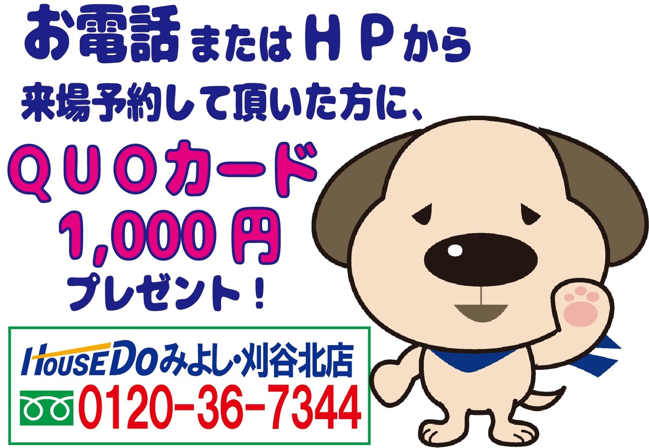 フォトギャラリー画像1