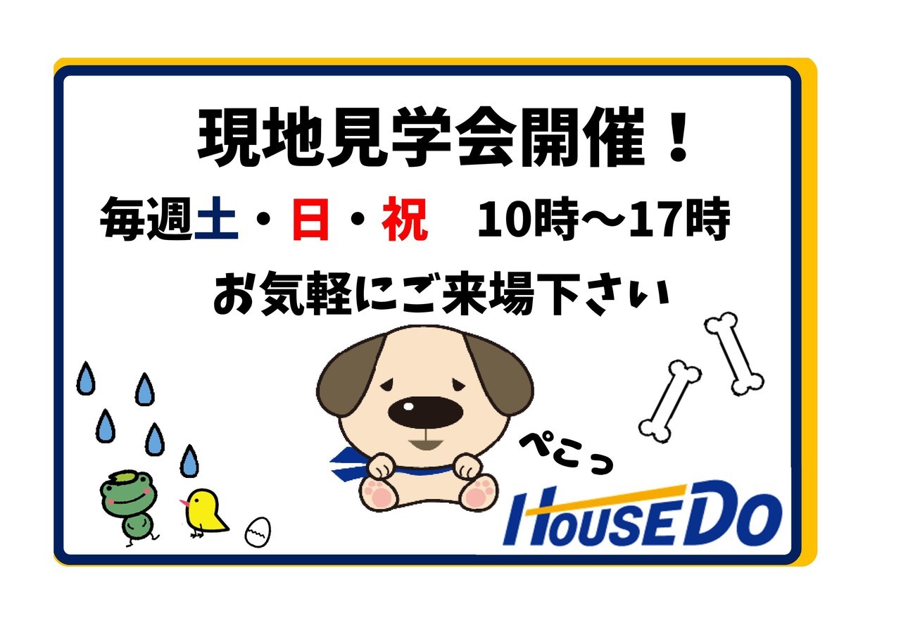 フォトギャラリー画像2