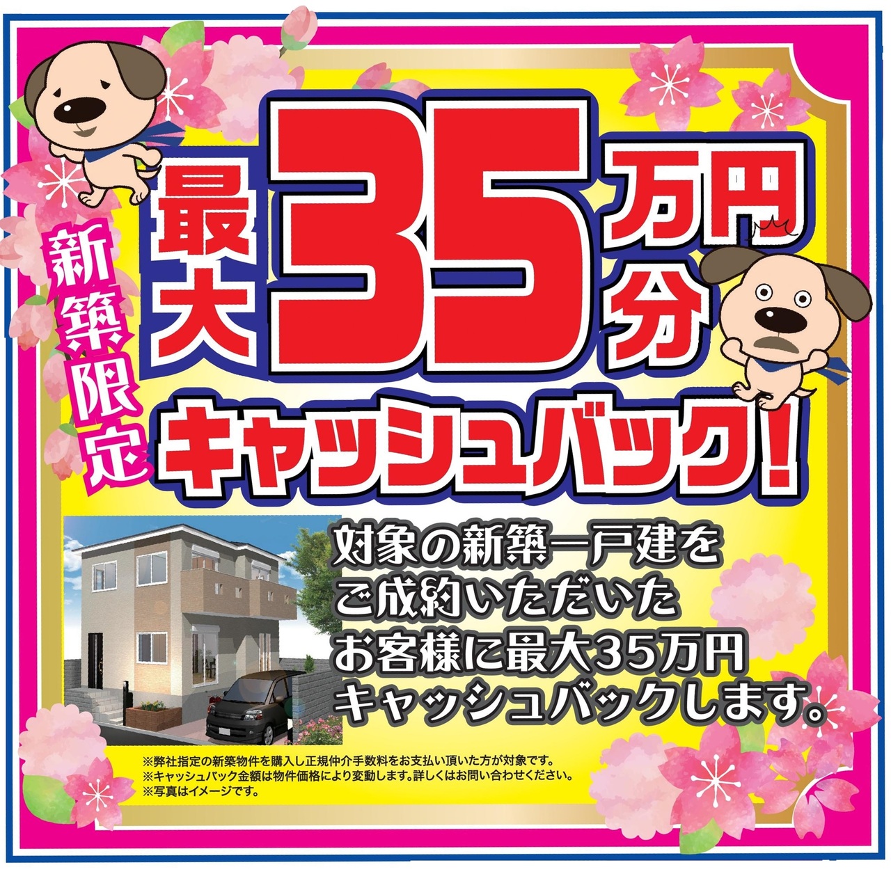 フォトギャラリー画像2