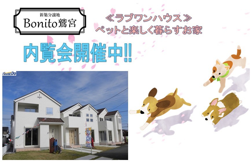 フォトギャラリー画像1