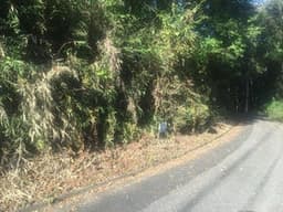 那須烏山市月次の土地