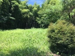 塩谷郡塩谷町大字熊ノ木の土地