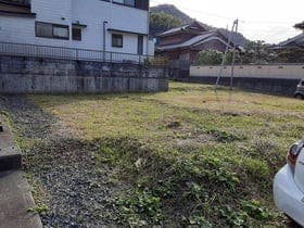 11号地