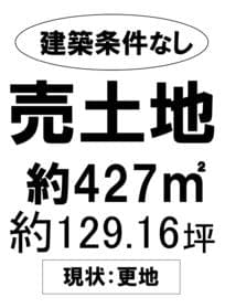 15号地