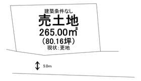 17号地