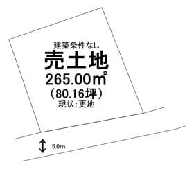 20号地