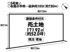 5号地
