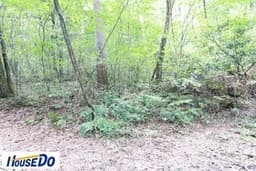 安曇野市穂高牧の土地