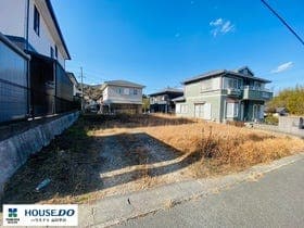 77号地