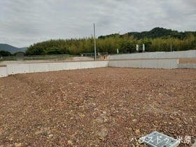 3号地/11区画