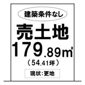 3号地
