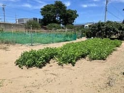 かほく市秋浜の土地