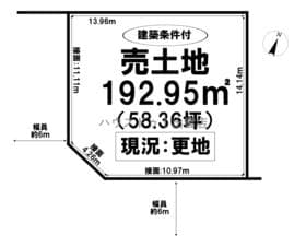 11号地