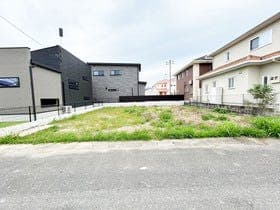 5号地