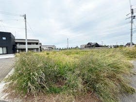 9号地