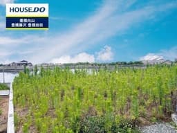 豊橋市豊栄町字東の土地