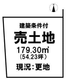 6号地
