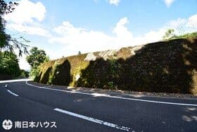 10号地