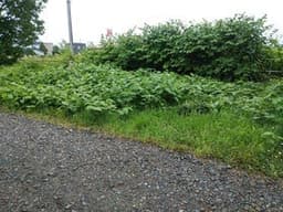 岩見沢市二条東6丁目の土地