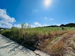 島尻郡八重瀬町字玻名城の土地
