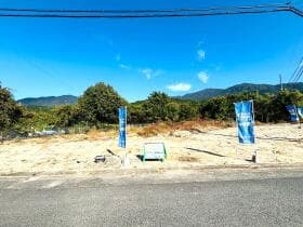 3号地