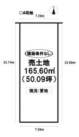 A号地