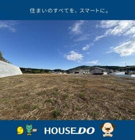 6号地