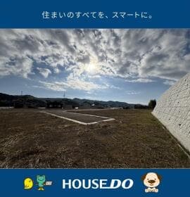 11号地