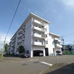 スプリングハイム北光町　206号室 苫小牧市北光町２丁目の中古マンション