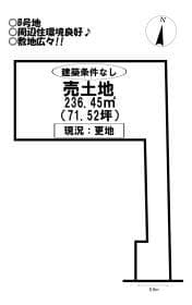B号地