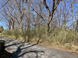 那須郡那須町大字湯本の土地
