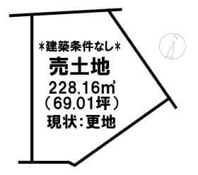 ⑦号地