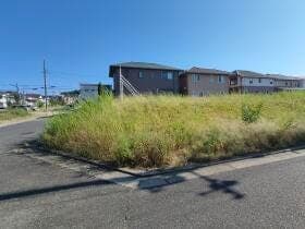 1号地