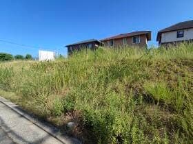 5号地