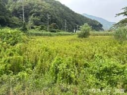養父市養父市場の土地
