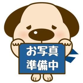 横手市安田字八王寺