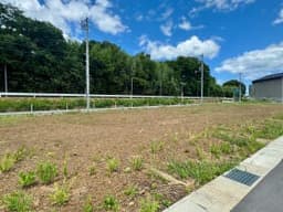 彦根市野瀬町の土地