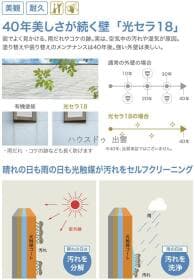 外壁