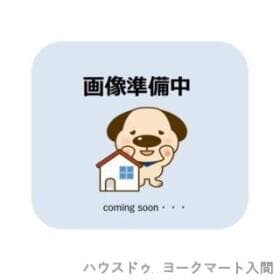 入間市大字野田