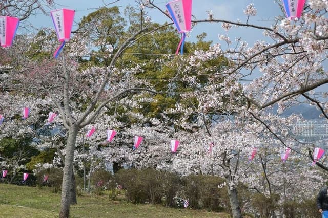 公園