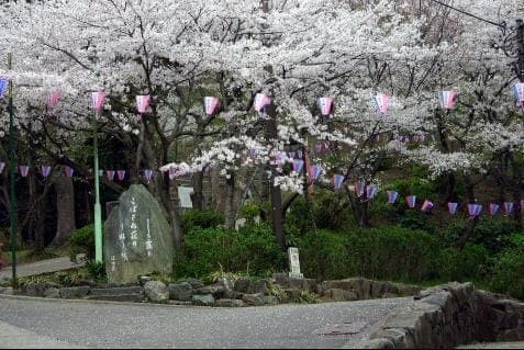 公園