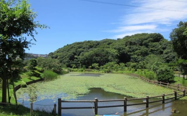 公園