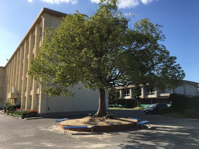 中学校