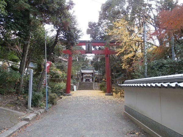 その他環境写真