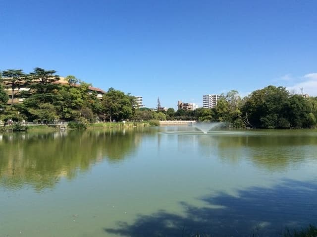 公園