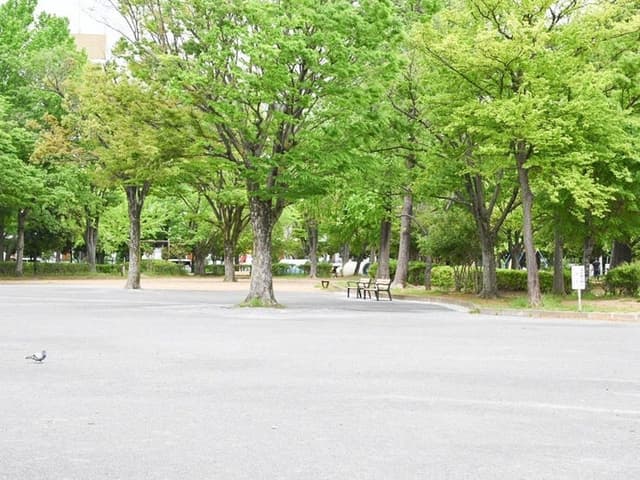 公園