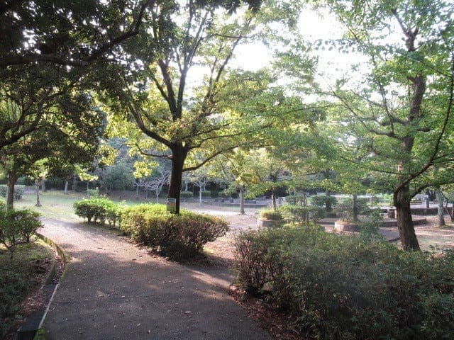 公園