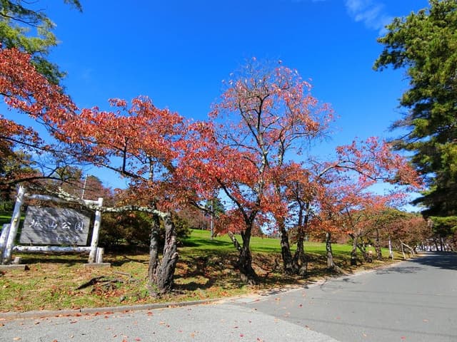 公園