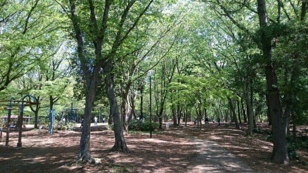 公園
